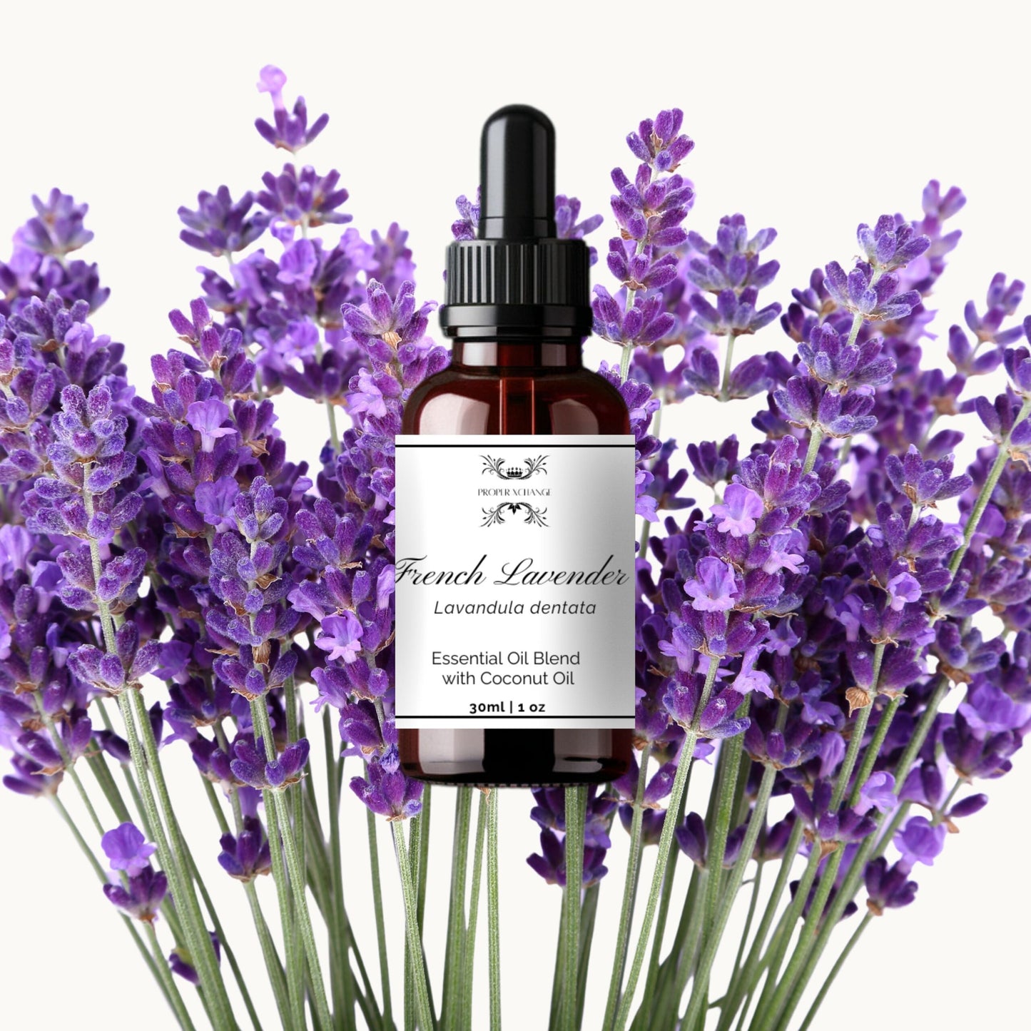 French Lavender Essential Oil Blend image 0