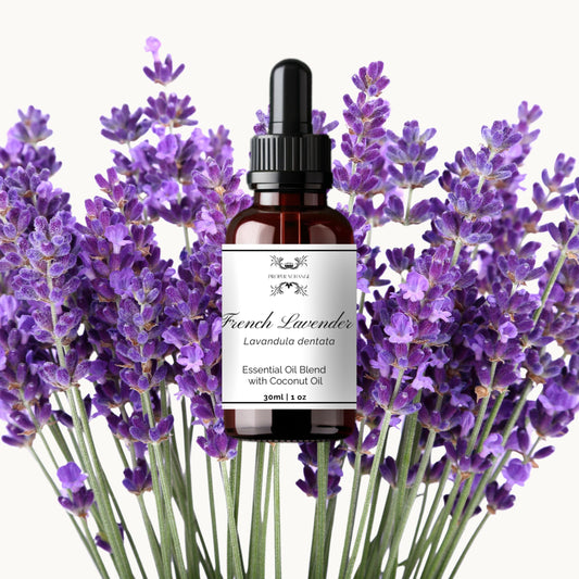 French Lavender Essential Oil Blend image 0